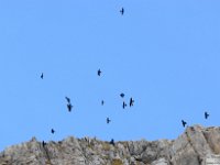 2026-10-24 Il Sassone 068